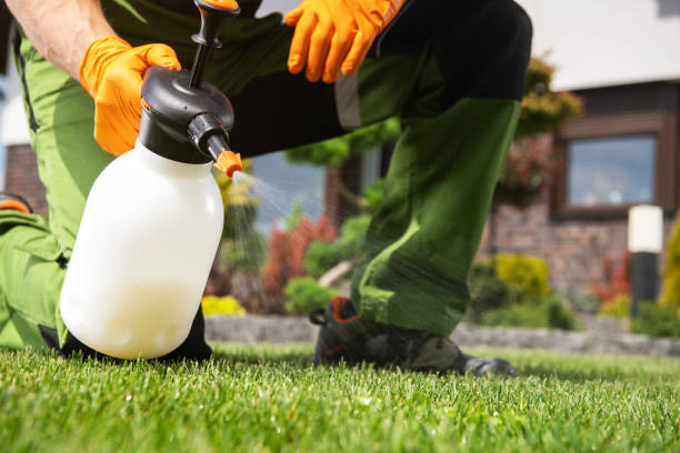 Best Pest Prevention Services  in Chenoweth, OR